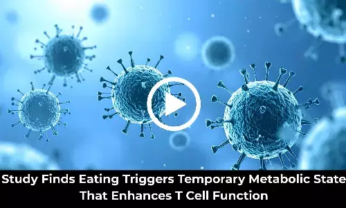 Study Finds Eating Triggers Temporary Metabolic State That Enhances T Cell Function
