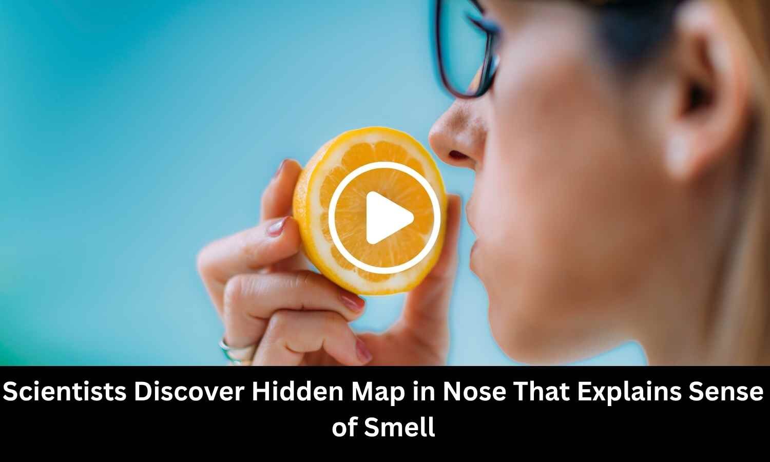 Scientists Discover Hidden Map in Nose That Explains Sense of Smell