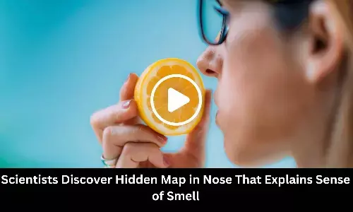 Scientists Discover Hidden Map in Nose That Explains Sense of Smell