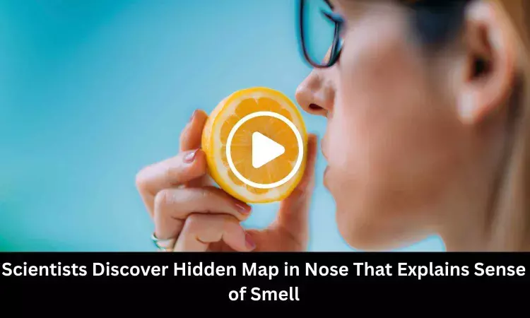 Scientists Discover Hidden Map in Nose That Explains Sense of Smell