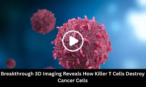 Breakthrough 3D Imaging Reveals How Killer T Cells Destroy Cancer Cells