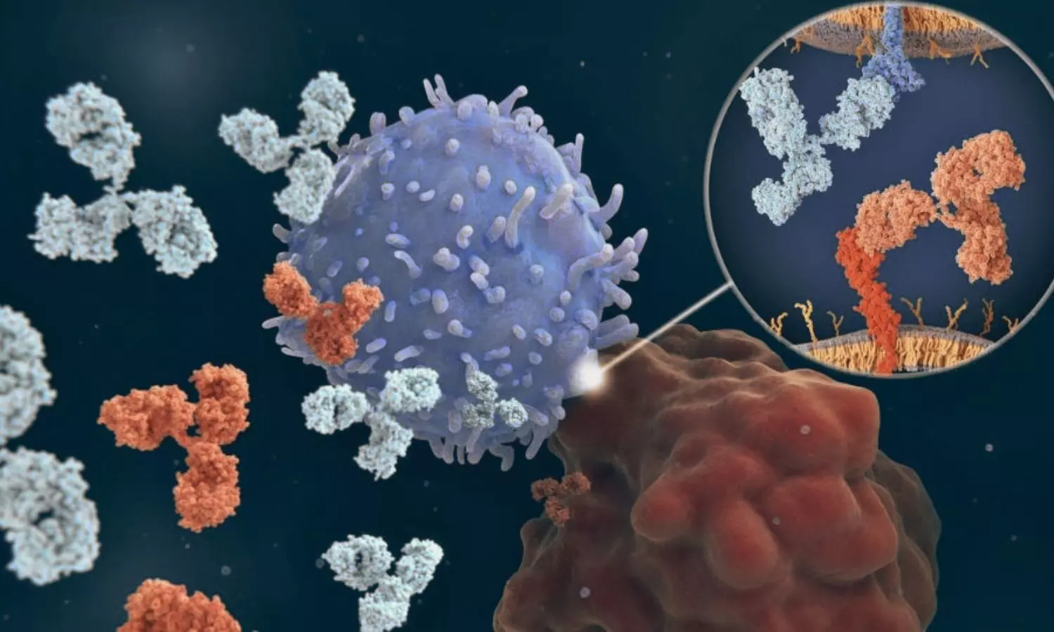 Morning Immunotherapy May Improve Survival Outcomes in Advanced Cancer Patients: Meta-Analysis Finds Morning Immunotherapy May Improve Survival Outcomes in Advanced Cancer Patients: Meta-Analysis Finds