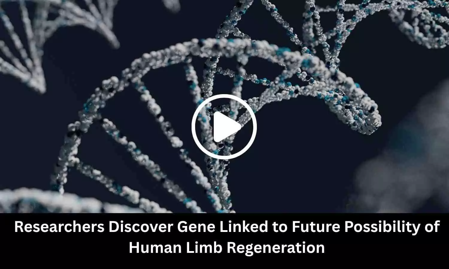 Researchers Discover Gene Linked to Future Possibility of Human Limb Regeneration