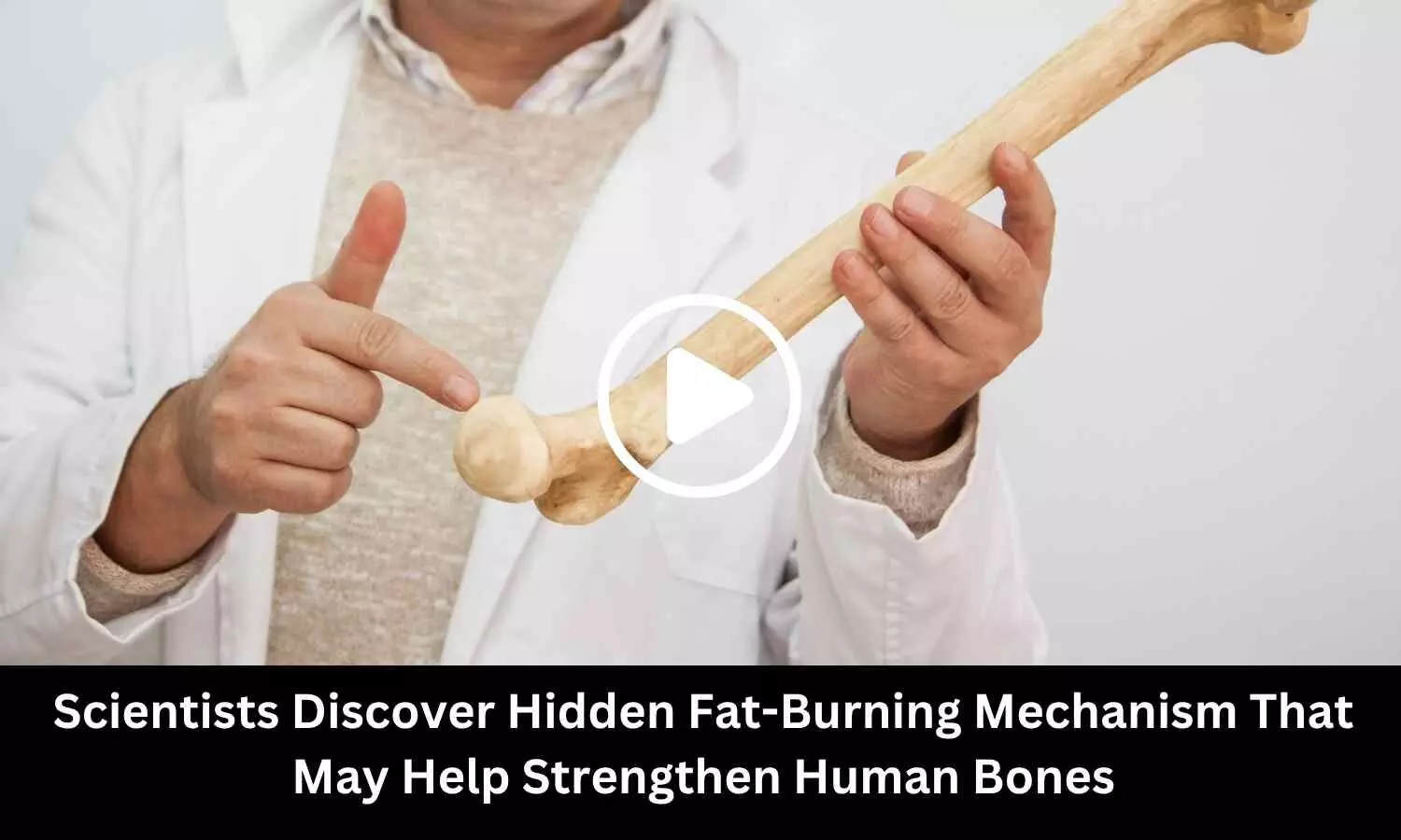 Scientists Discover Hidden Fat-Burning Mechanism That May Help Strengthen Human Bones