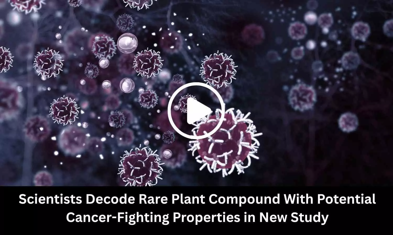 Scientists Decode Rare Plant Compound With Potential Cancer-Fighting Properties in New Study