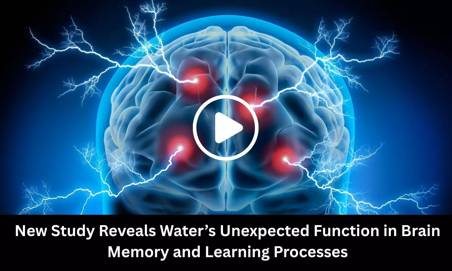 New Study Reveals Waters Unexpected Function in Brain Memory and Learning Processes