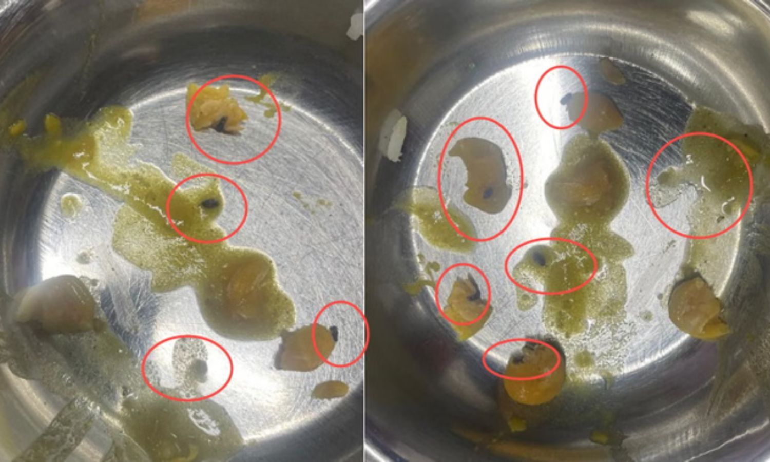 Worms found in food served at Doon Medical College hostel mess, inquiry ordered