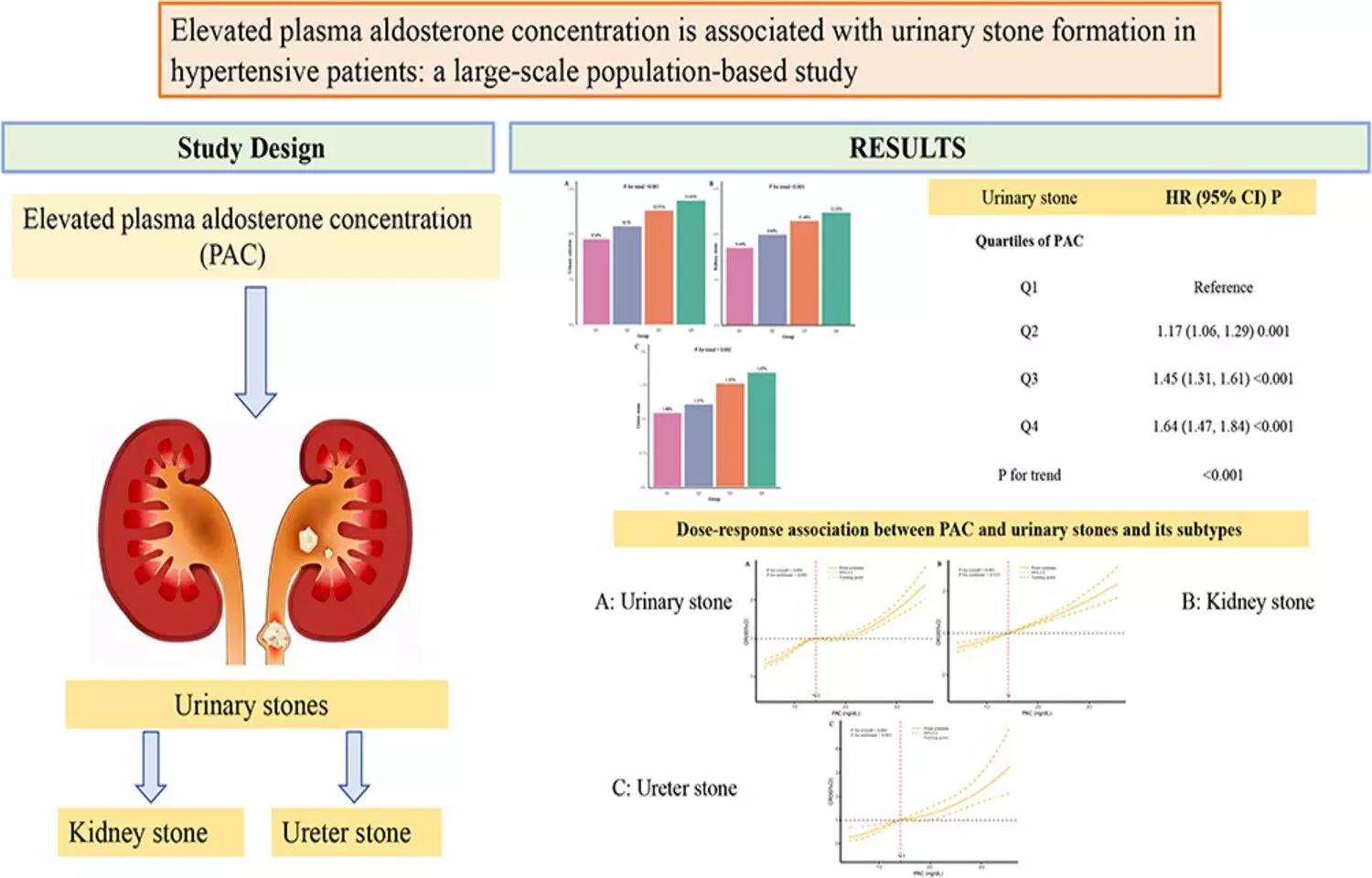 Primary Aldosteronism Linked to Higher Risk of Urinary Stones, suggests study Primary Aldosteronism Linked to Higher Risk of Urinary Stones, suggests study