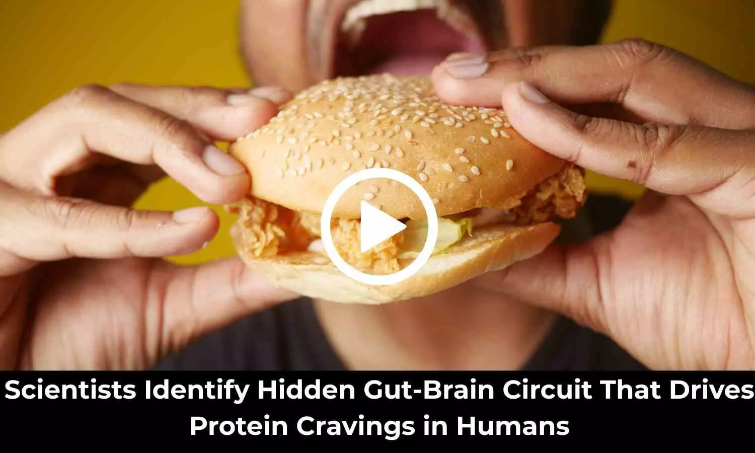 Scientists Identify Hidden Gut-Brain Circuit That Drives Protein Cravings in Humans
