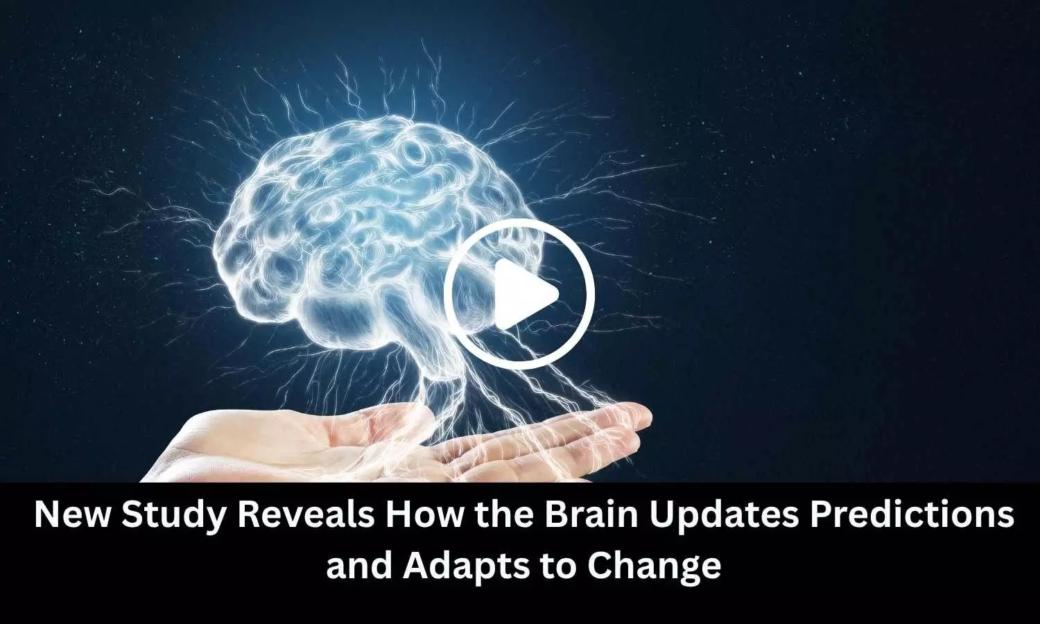 New Study Reveals How the Brain Updates Predictions and Adapts to Change New Study Reveals How the Brain Updates Predictions and Adapts to Change