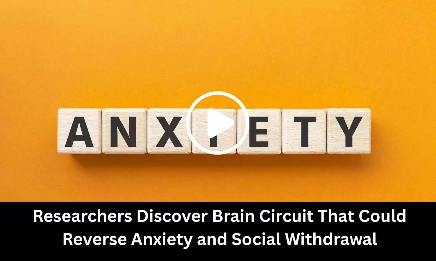 Researchers Discover Brain Circuit That Could Reverse Anxiety and Social Withdrawal
