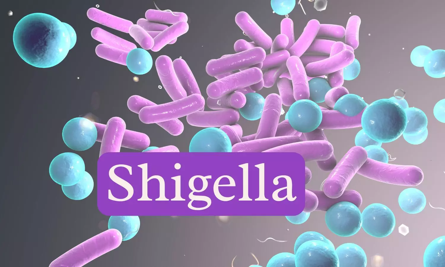 Kerala reports 2 more Shigella deaths, toll rises to 5 Kerala reports 2 more Shigella deaths, toll rises to 5