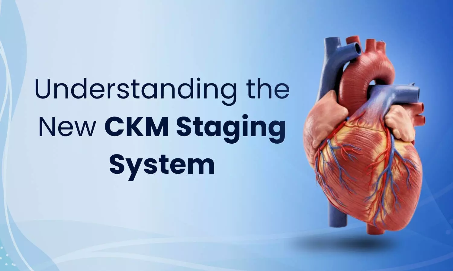 From Obesity to Heart Failure: Understanding the New CKM Staging System