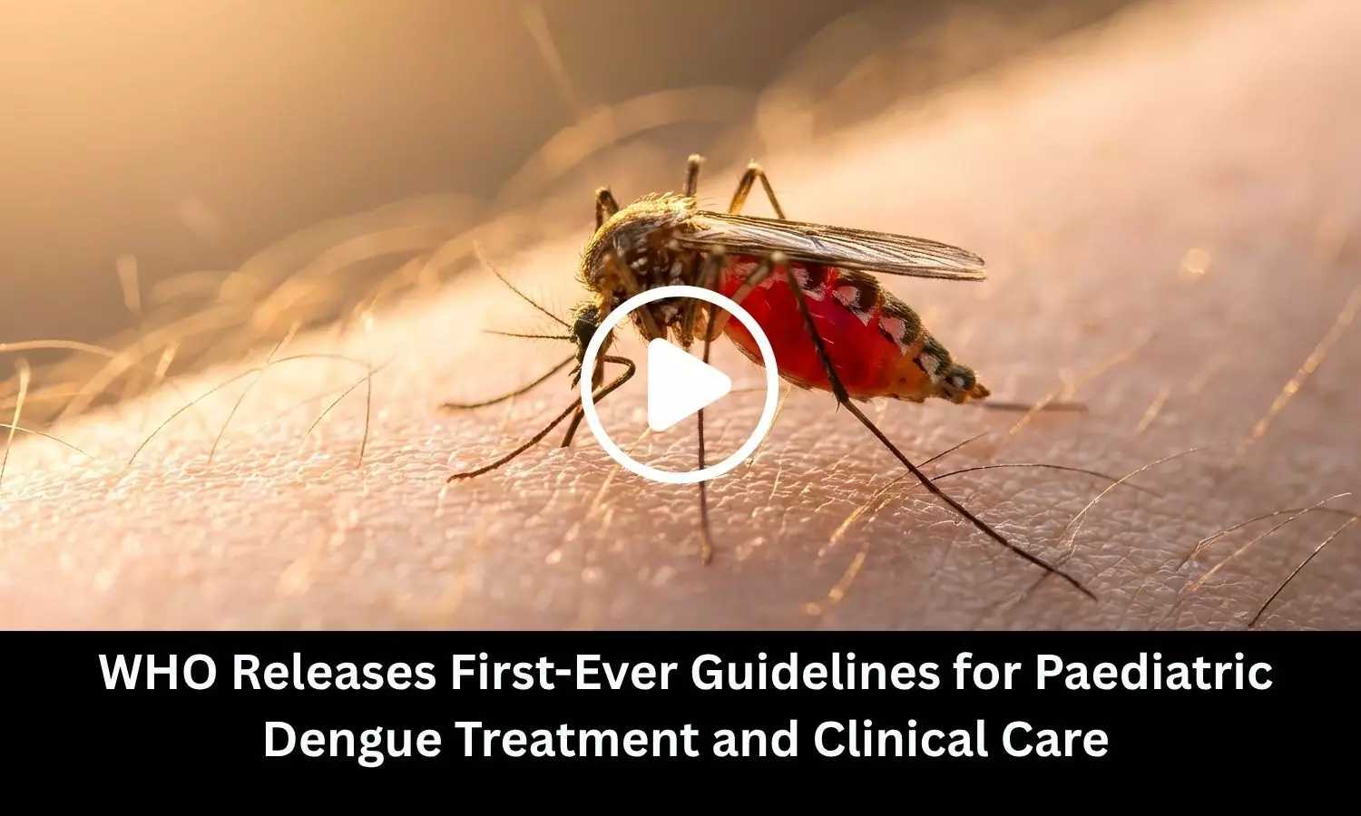 WHO Releases First-Ever Guidelines for Paediatric Dengue Treatment and Clinical Care