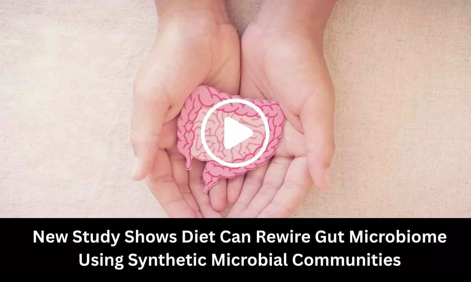 New Study Shows Diet Can Rewire Gut Microbiome Using Synthetic Microbial Communities