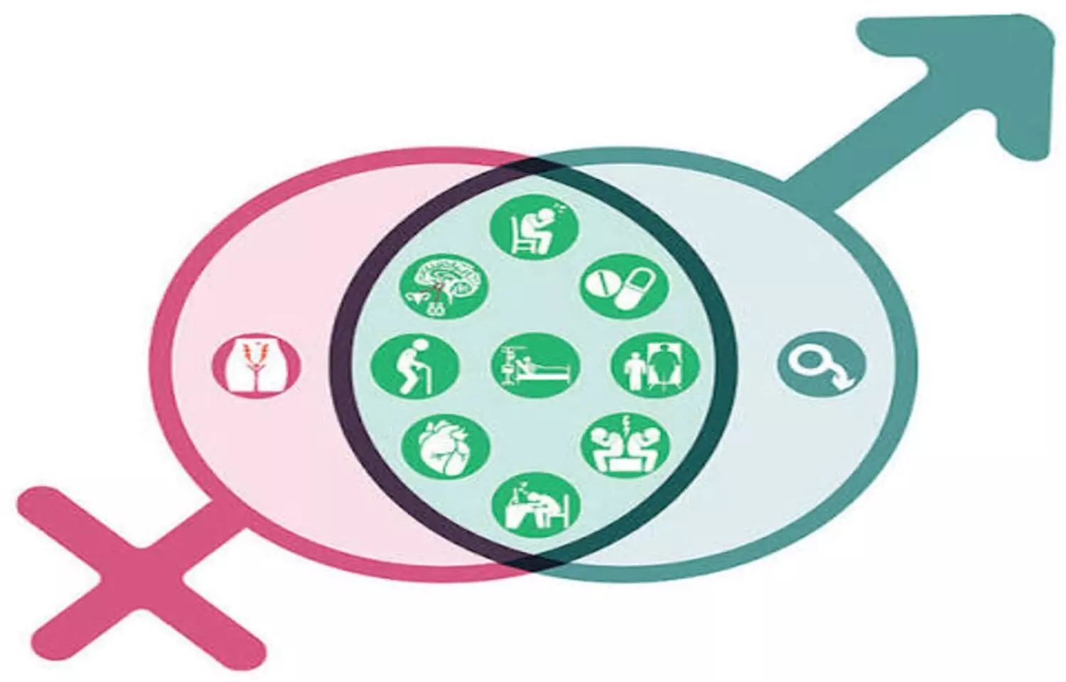 Sexual Dysfunction Common in Chronic Kidney Disease and Linked to Poorer Quality of Life: Study Sexual Dysfunction Common in Chronic Kidney Disease and Linked to Poorer Quality of Life: Study