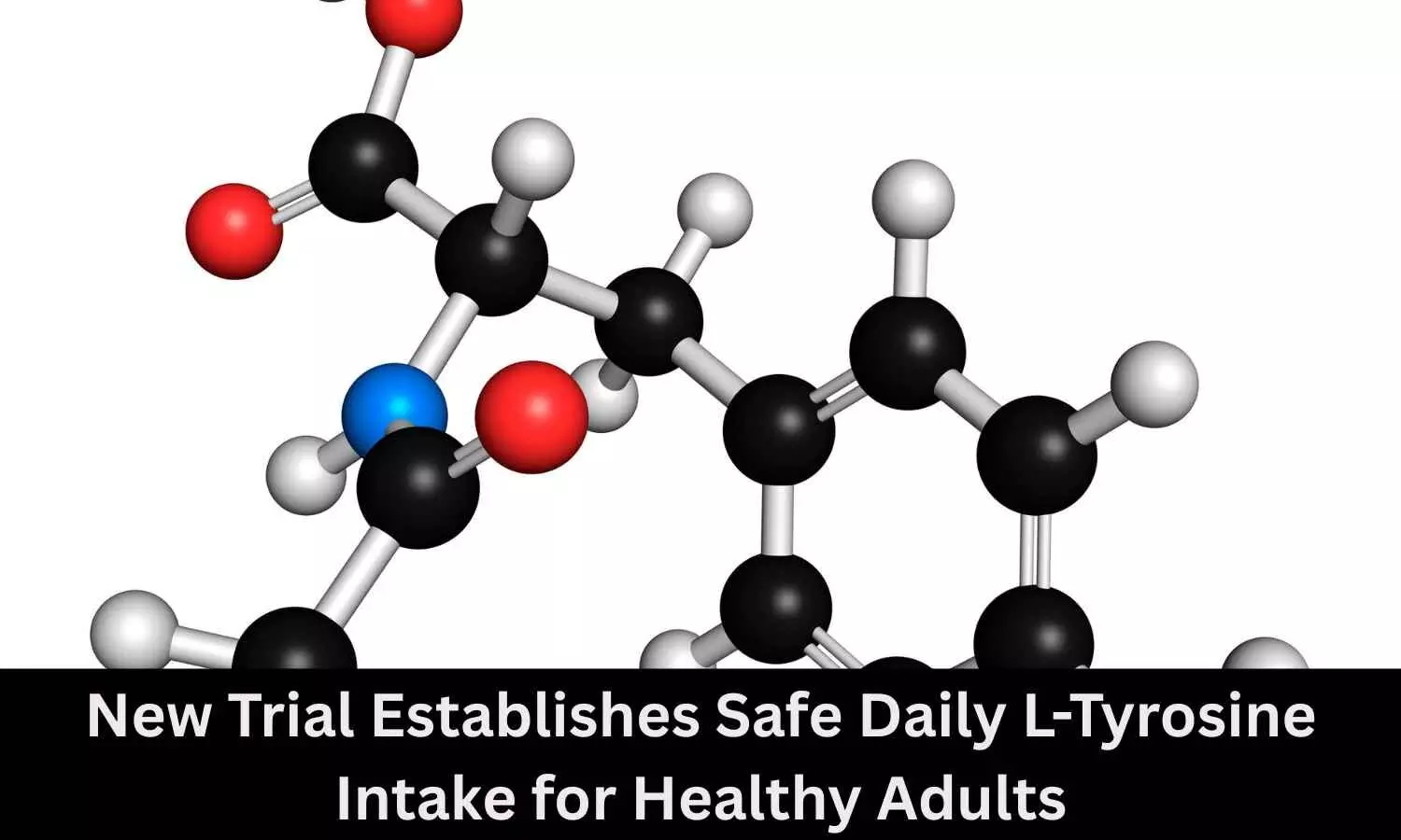 New Trial Establishes Safe Daily L-Tyrosine Intake for Healthy Adults