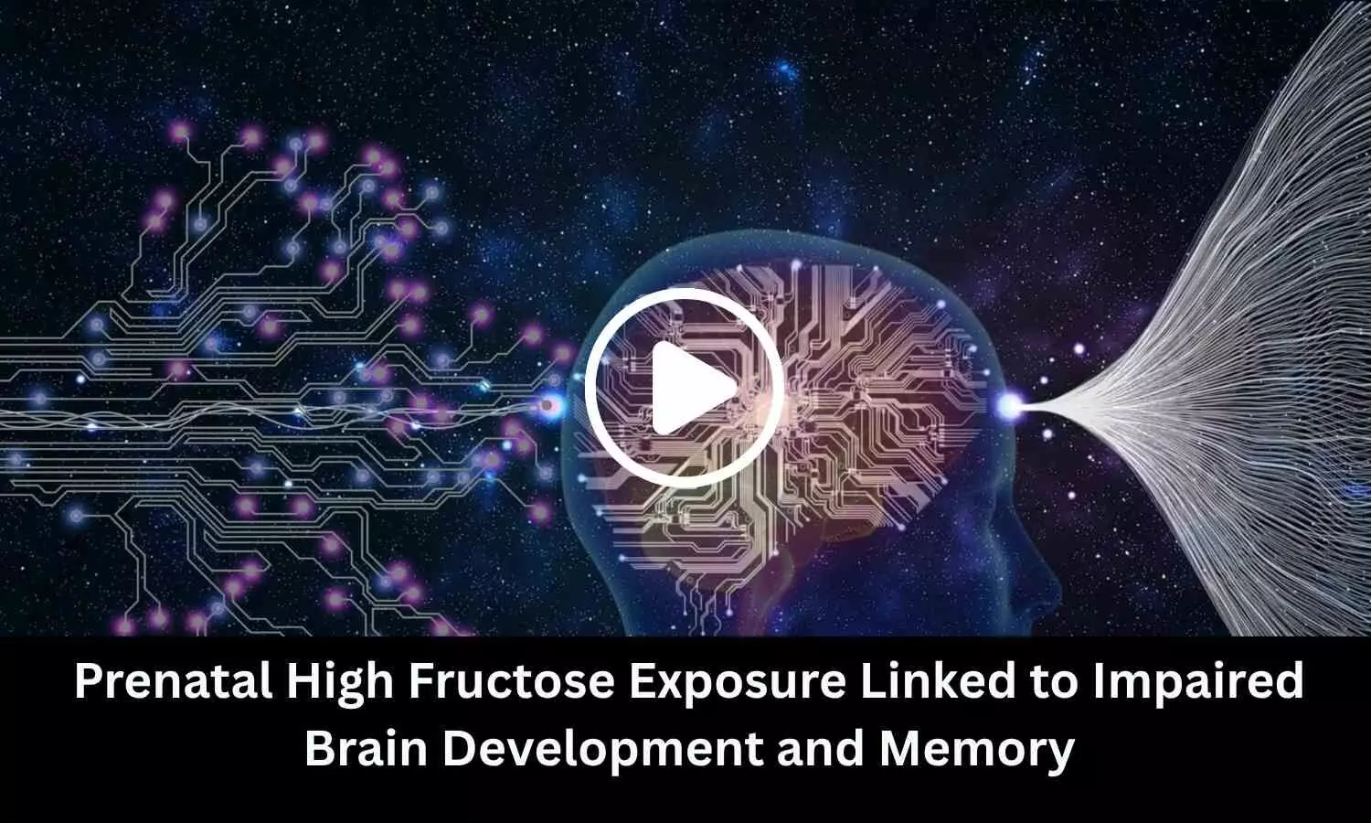 Prenatal High Fructose Exposure Linked to Impaired Brain Development and Memory: Study Prenatal High Fructose Exposure Linked to Impaired Brain Development and Memory: Study