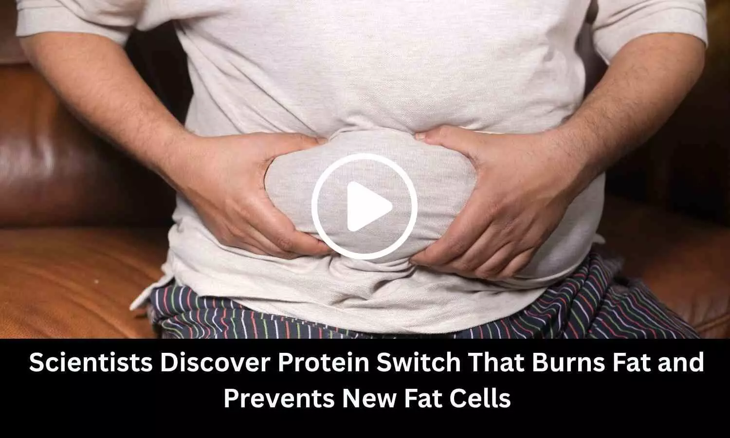 Scientists Discover Protein Switch That Burns Fat and Prevents New Fat Cells Scientists Discover Protein Switch That Burns Fat and Prevents New Fat Cells
