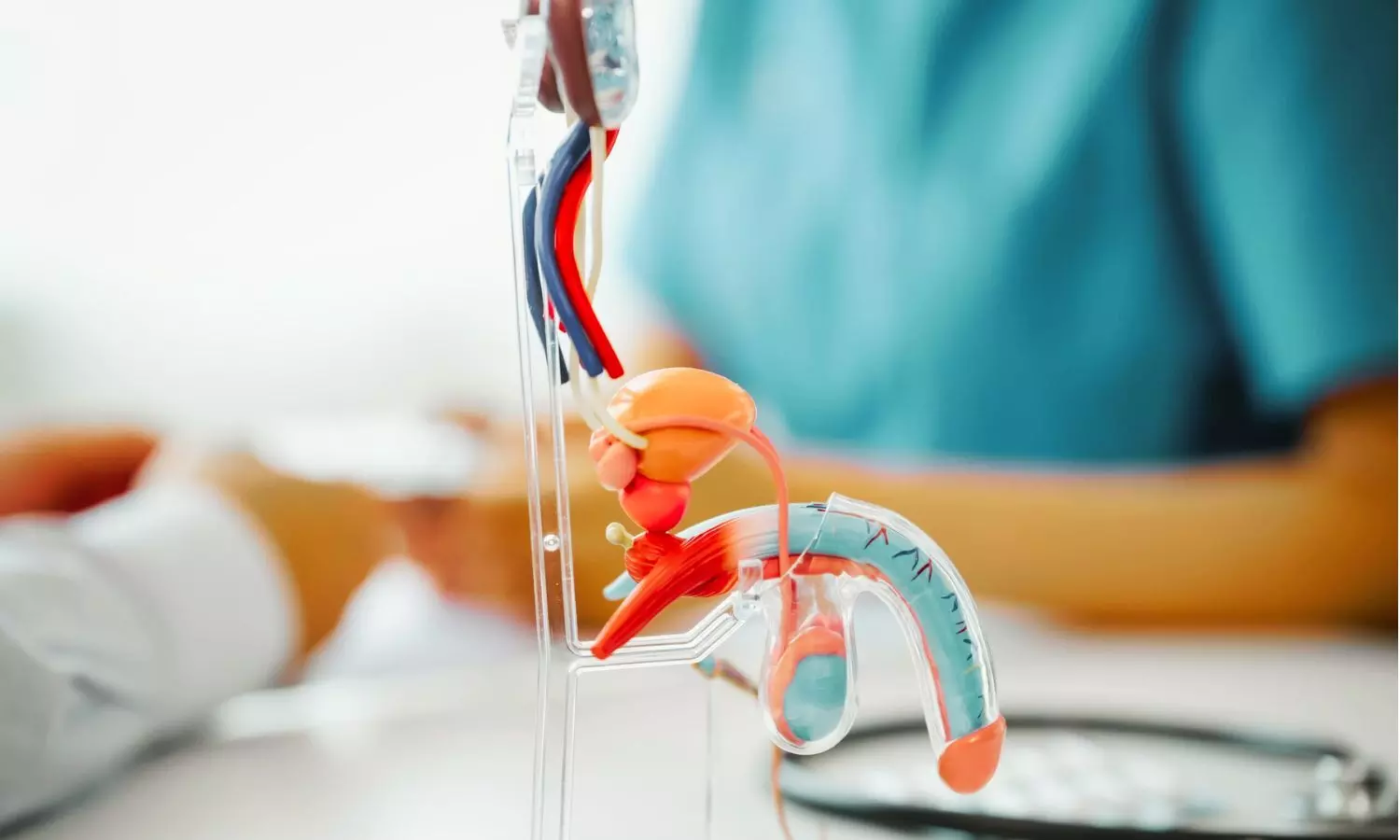 Metformin May Reduce ADT-Related Metabolic Risks in Prostate Cancer: Study