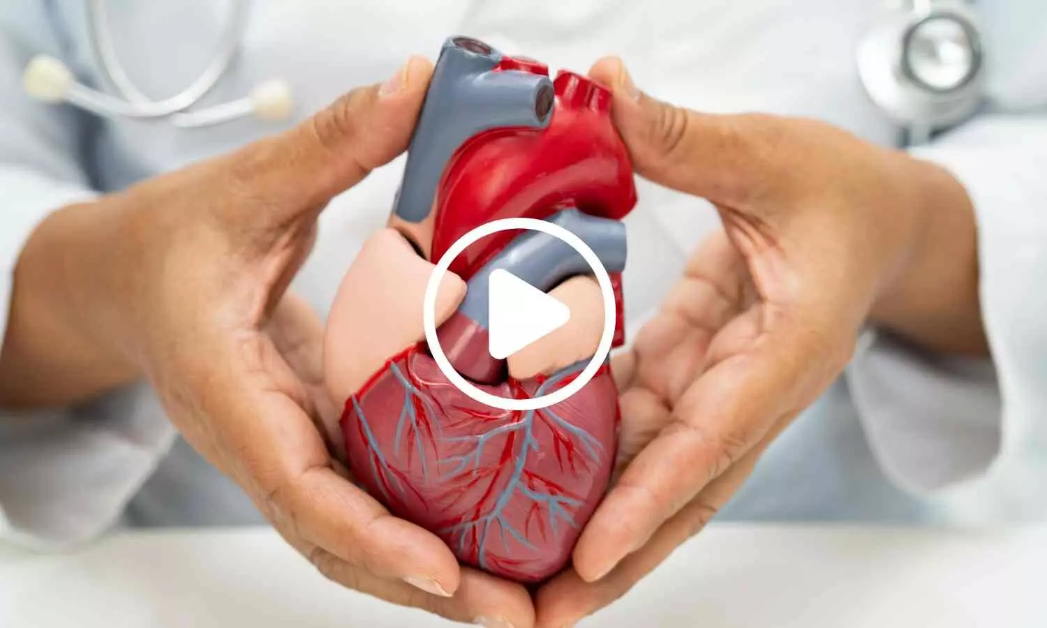Exercise Rewires the Hearts Nerve Network Beyond Strengthening It: Study