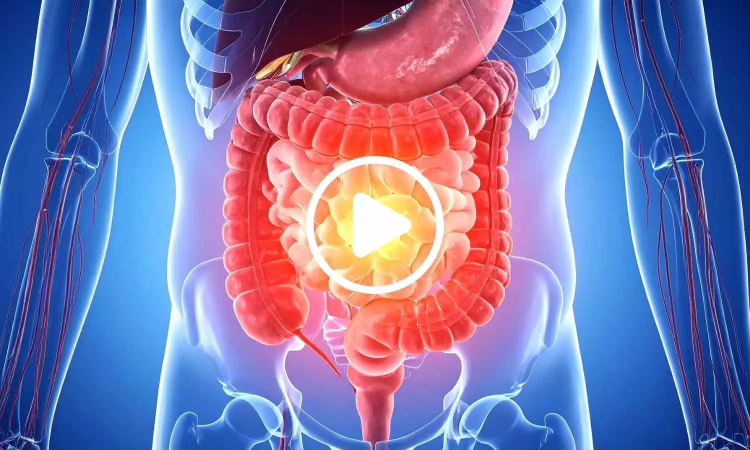 New Study Links Plant-Based Diets to Healthier Gut Microbes and Metabolites New Study Links Plant-Based Diets to Healthier Gut Microbes and Metabolites