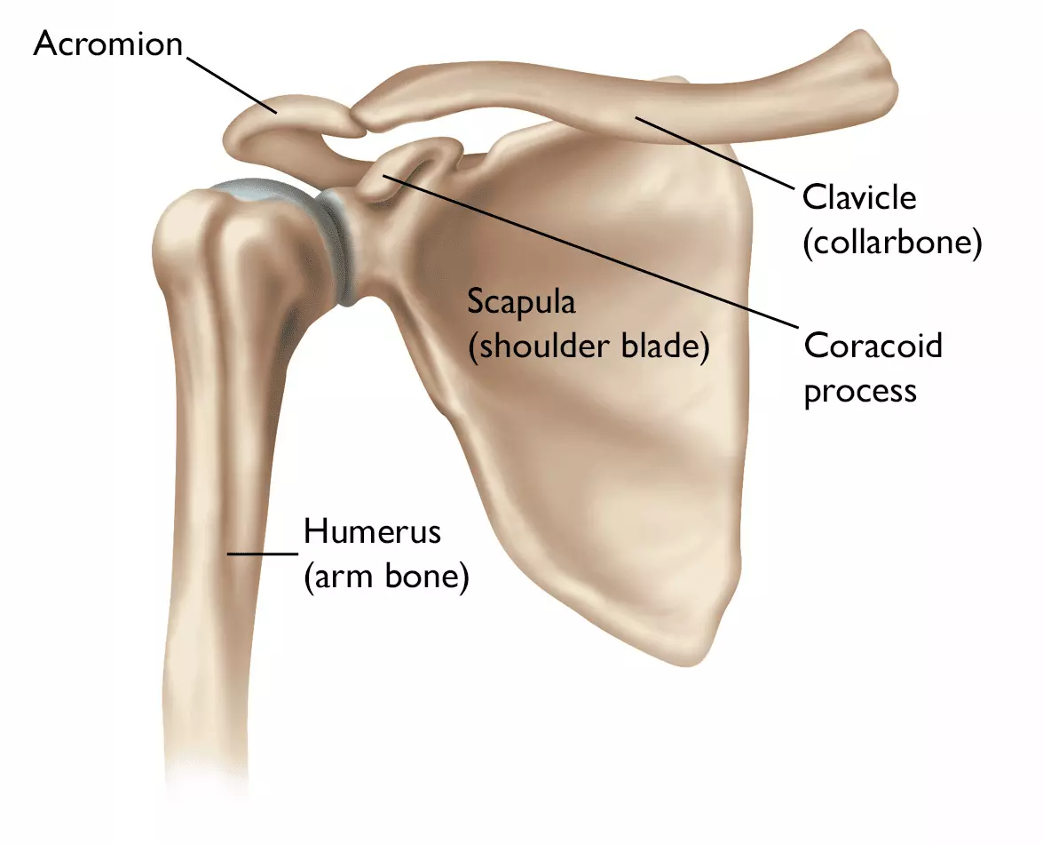 Stemless anatomic total Shoulder Arthroplasty Matches Stemmed Implant Outcomes: study Stemless anatomic total Shoulder Arthroplasty Matches Stemmed Implant Outcomes: study