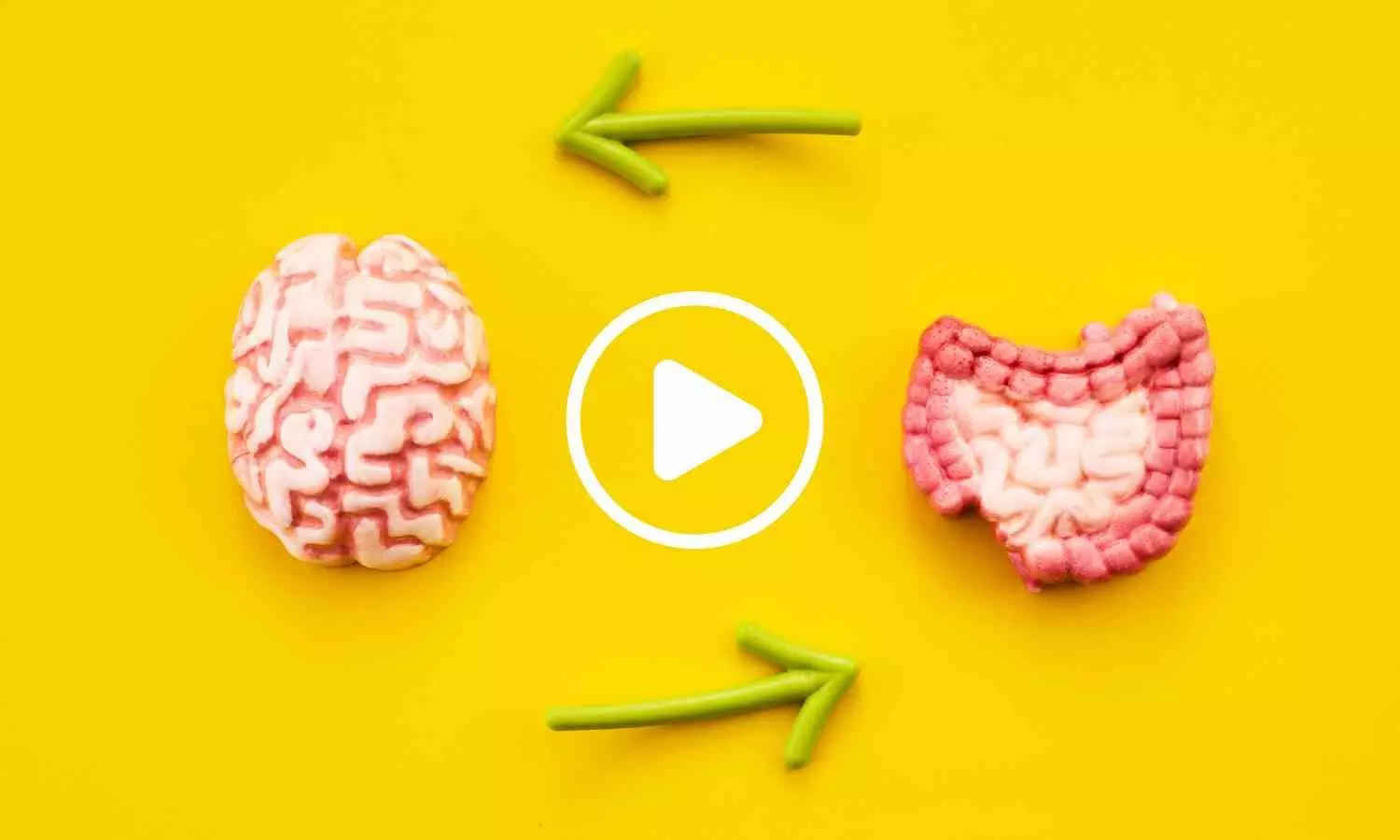 Gut-Brain Connection May Determine Which Experiences Become Lasting Memories: Study