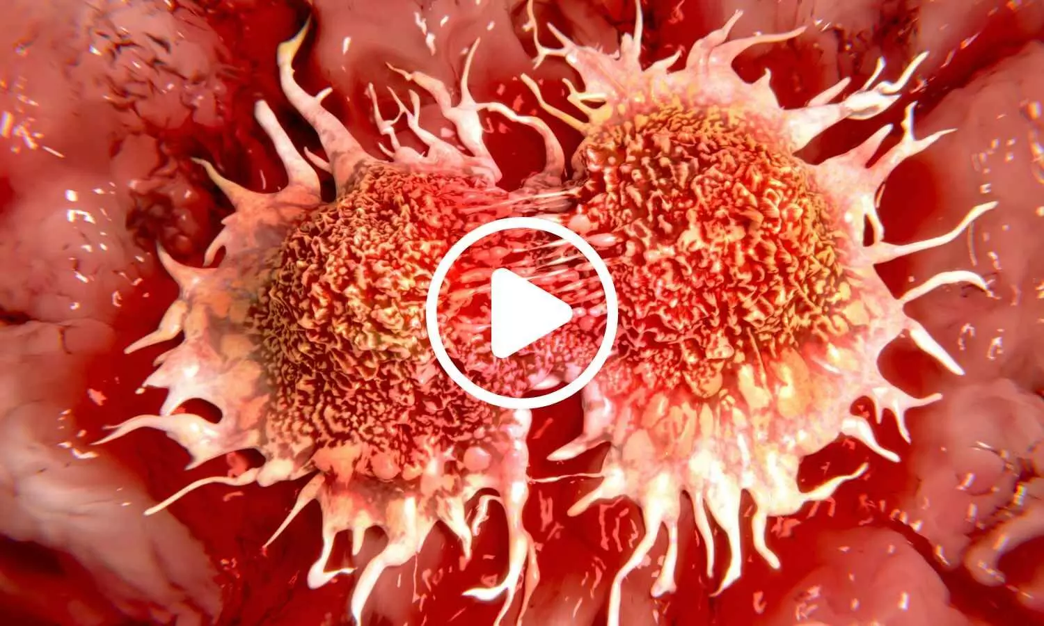 Scientists Identify Supplement That May Improve Immune Response to Cancer and Viruses