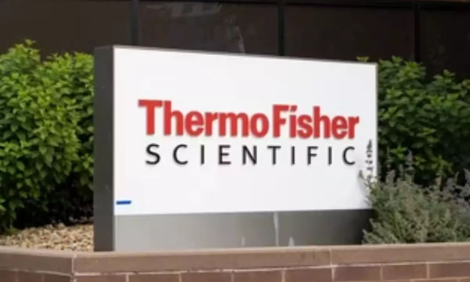 Thermo Fisher Eyes 15-20% Growth in India Customer Base Over Next 5 Years Amid Biopharma Boom Thermo Fisher Eyes 15-20% Growth in India Customer Base Over Next 5 Years Amid Biopharma Boom