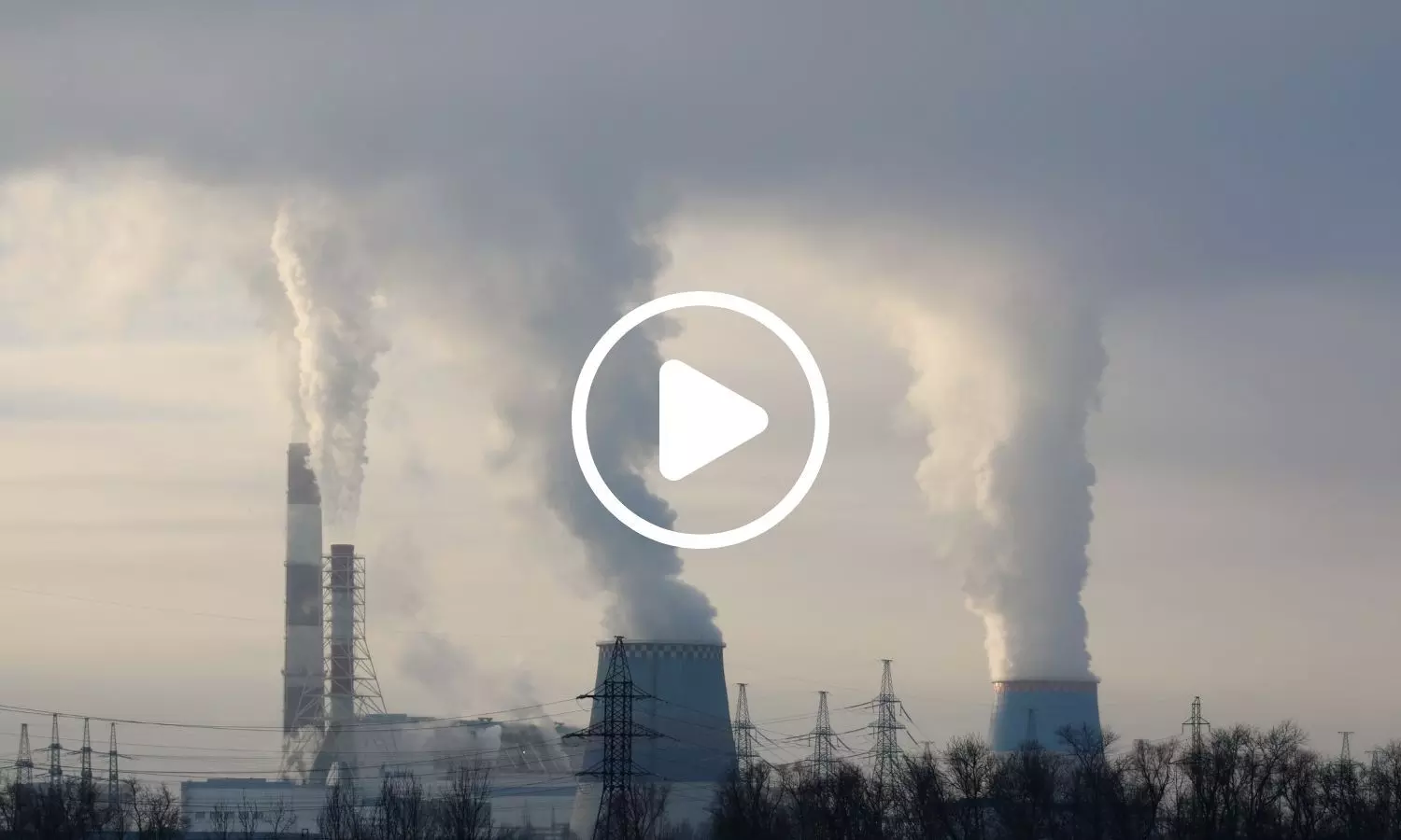 Global Study Reveals Air Pollution Can Harm Multiple Organs Beyond Lungs