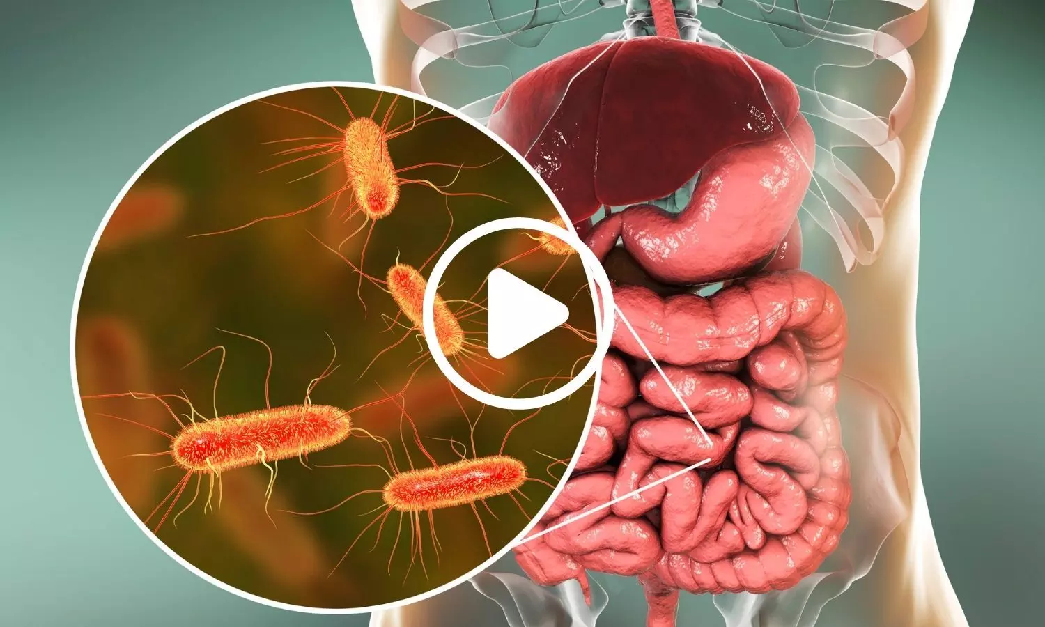 Type of Dietary Fiber May Shape Childrens Developing Gut Microbiome: Study