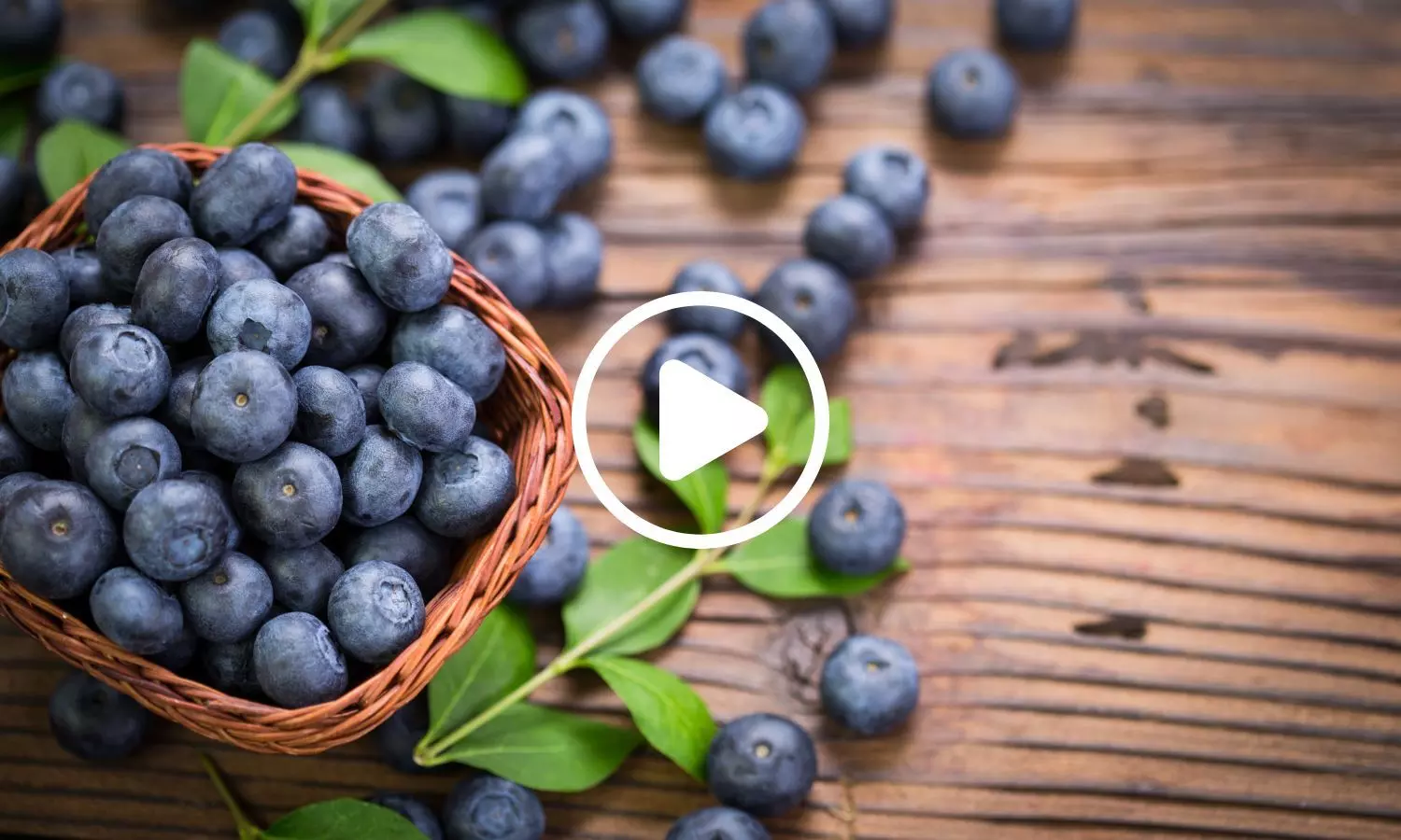 Compound Found in Blueberries May Help Muscle Cells Burn Excess Fat: Study