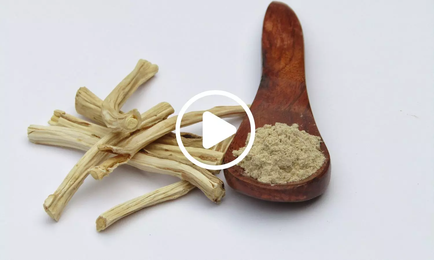 New Study Links Shatavaris Health Effects to Gut Microbiome Changes New Study Links Shatavaris Health Effects to Gut Microbiome Changes