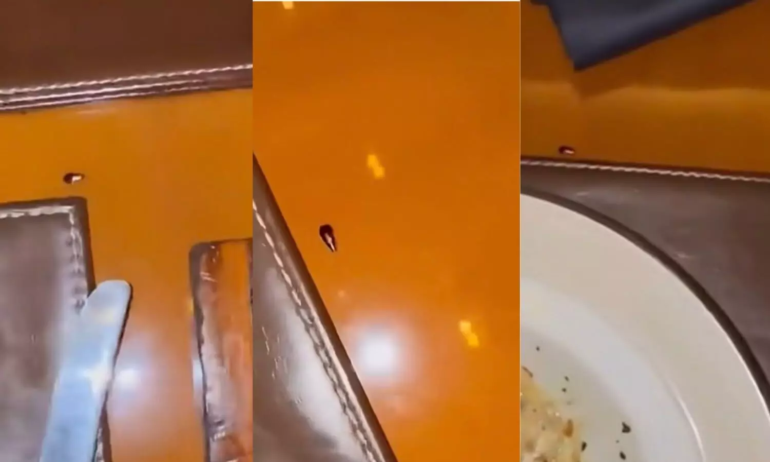 Cockroach crawls across table at JW Marriott Mumbai, Delhi-based Cardiologist shares video