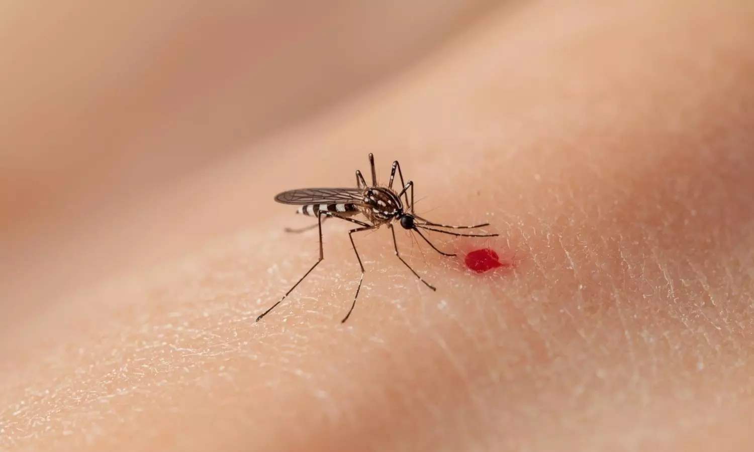 Arunachal Pradesh issues advisory on dengue prevention as fever cases rise