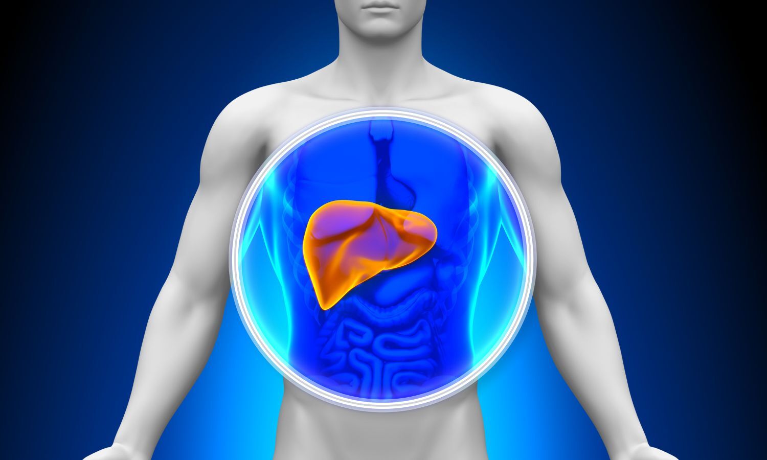 High-salt diet may drive fatty liver disease differently in lean people: Duke-NUS pre-clinical study