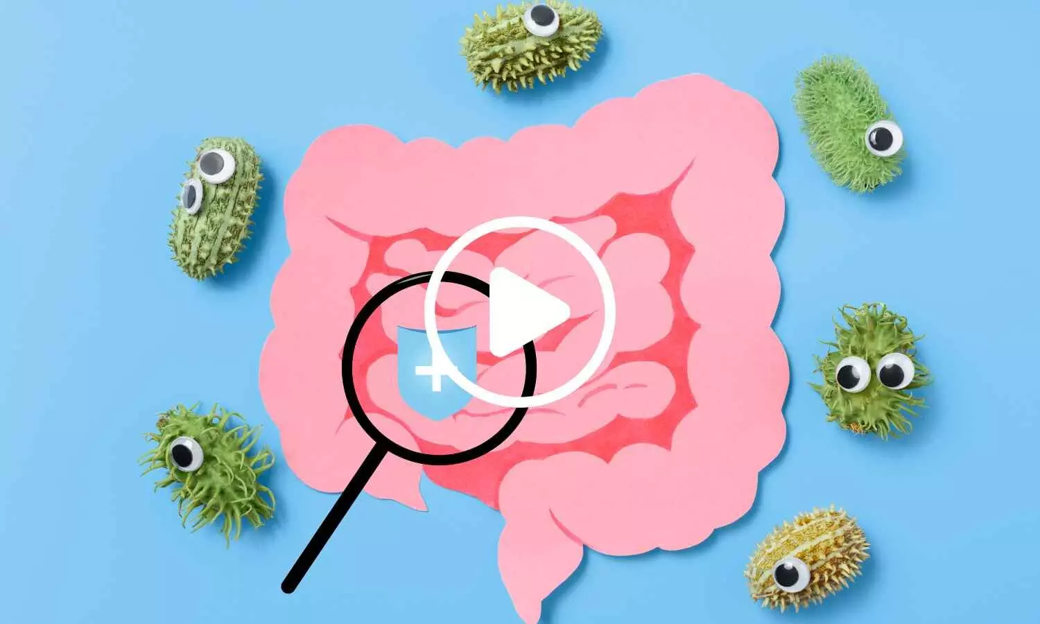 New Study Explores How Mulberry May Affect Gut Bacteria and Metabolism