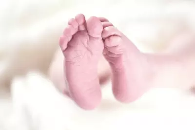 Infant Dies After Alleged Incident at Private Clinic in Tiruvottiyur Infant Dies After Alleged Incident at Private Clinic in Tiruvottiyur