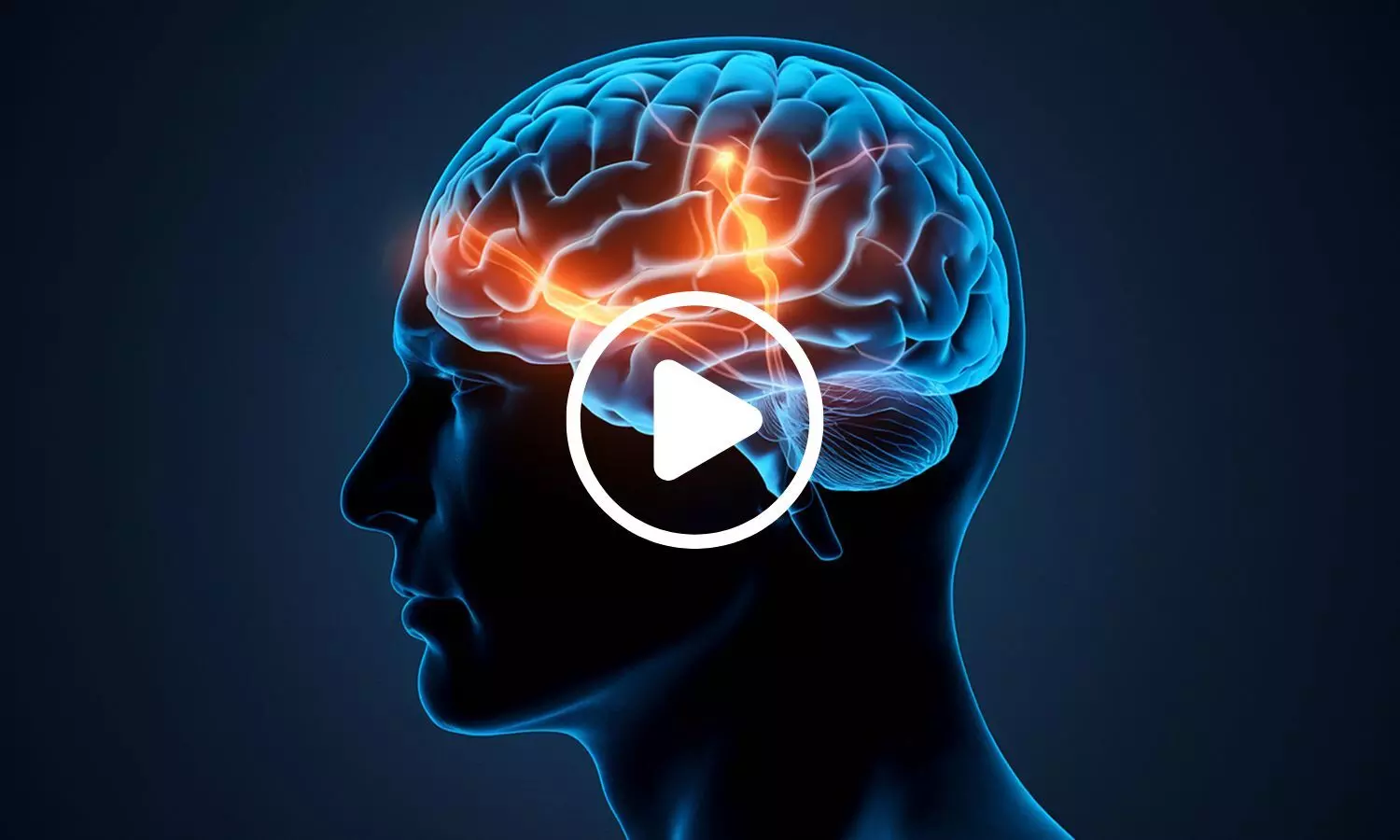 Stanford Scientists Uncover Evidence Human Brain Is Made of Two Distinct Parts Stanford Scientists Uncover Evidence Human Brain Is Made of Two Distinct Parts