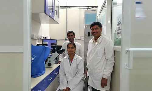IIT Hyderabad Researchers Develop Combination Therapy for Cancer