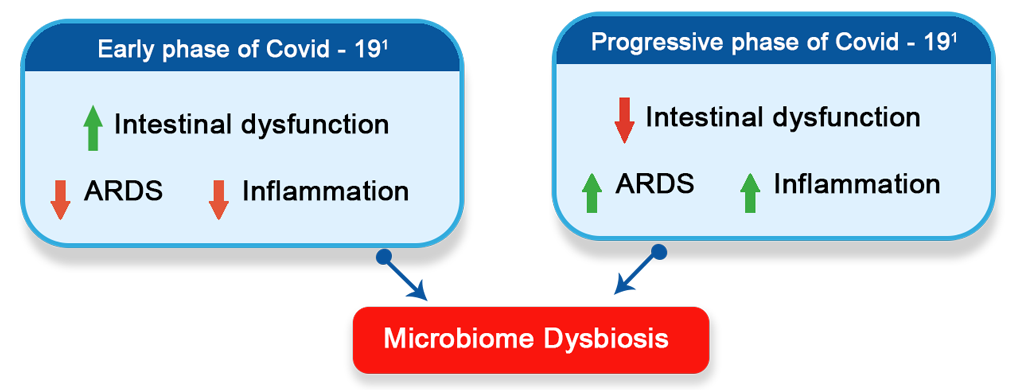 Vibactds-prebiotics-probiotics-preprobiotics