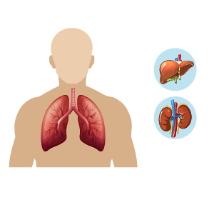 Molnupiravir tablet for patients with Chronic lung/kidney/liver disease