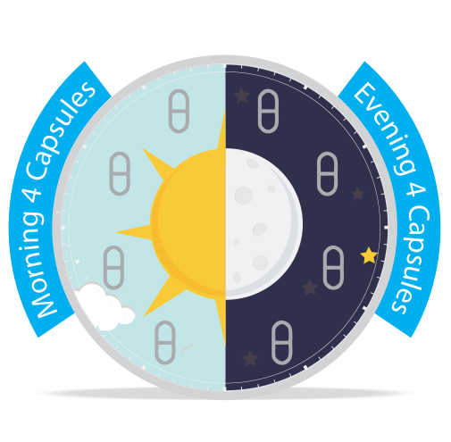 Molnupiravir dosage schedule for 5 days