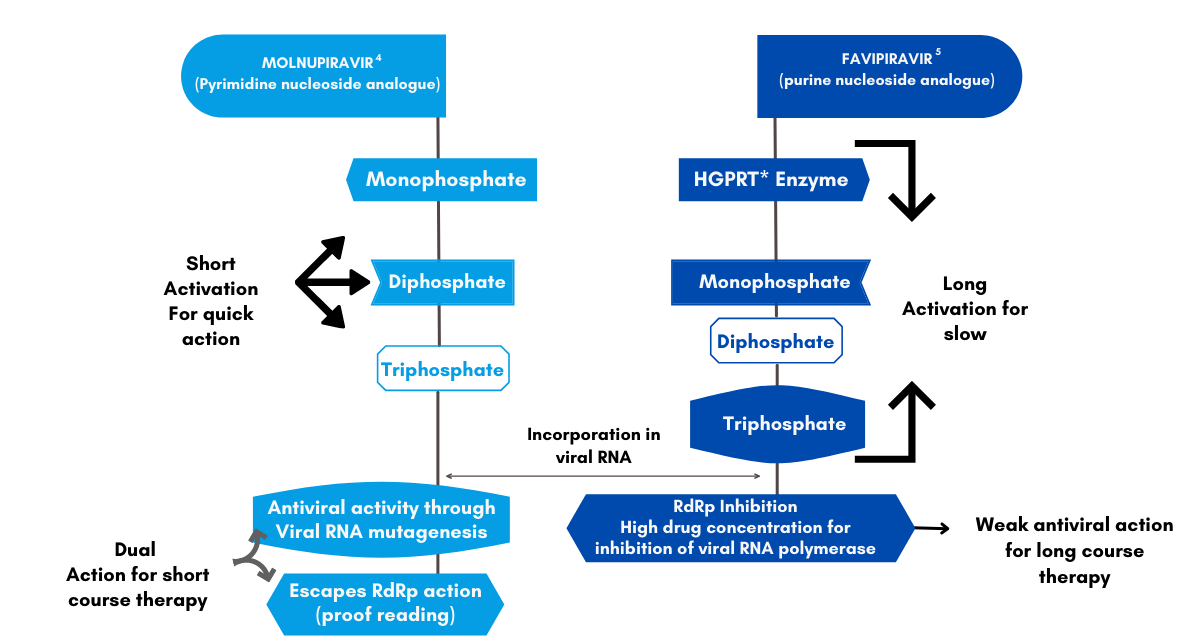 Comparison between Molnupiravir Over Favipiravir