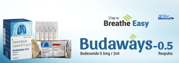 Budaways-0.5