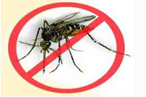 Dengue cases on decline: TN health minister