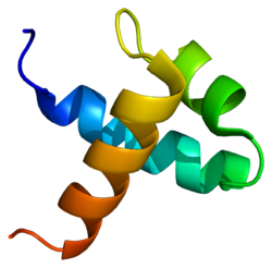 Molecular switch Myb, which creates long term immunity discovered