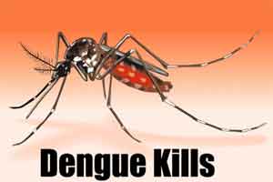 18,760 dengue cases reported in country, highest in Kerala