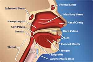 80 percent of head&neck cancer in India caused by Tobacco